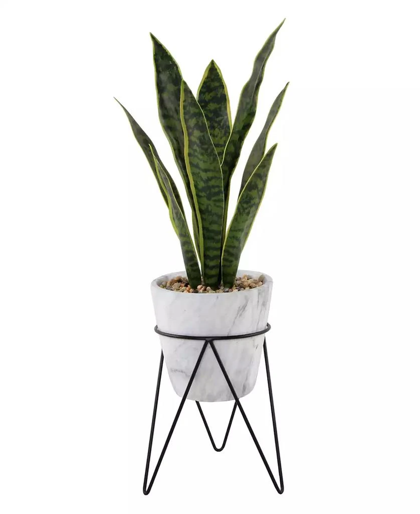 商品Flora Bunda|21" Snake Plant in Marble on Metal Stand,价格¥592,第1张图片
