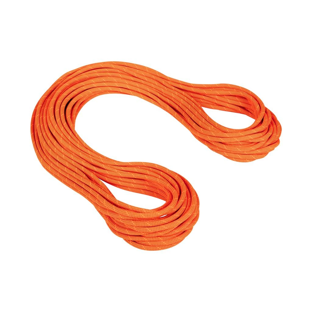 商品Mammut|MAMMUT - 9.8 CRAG DRY ROPE - 60m - Standard, Safety Ora,价格¥2064,第1张图片