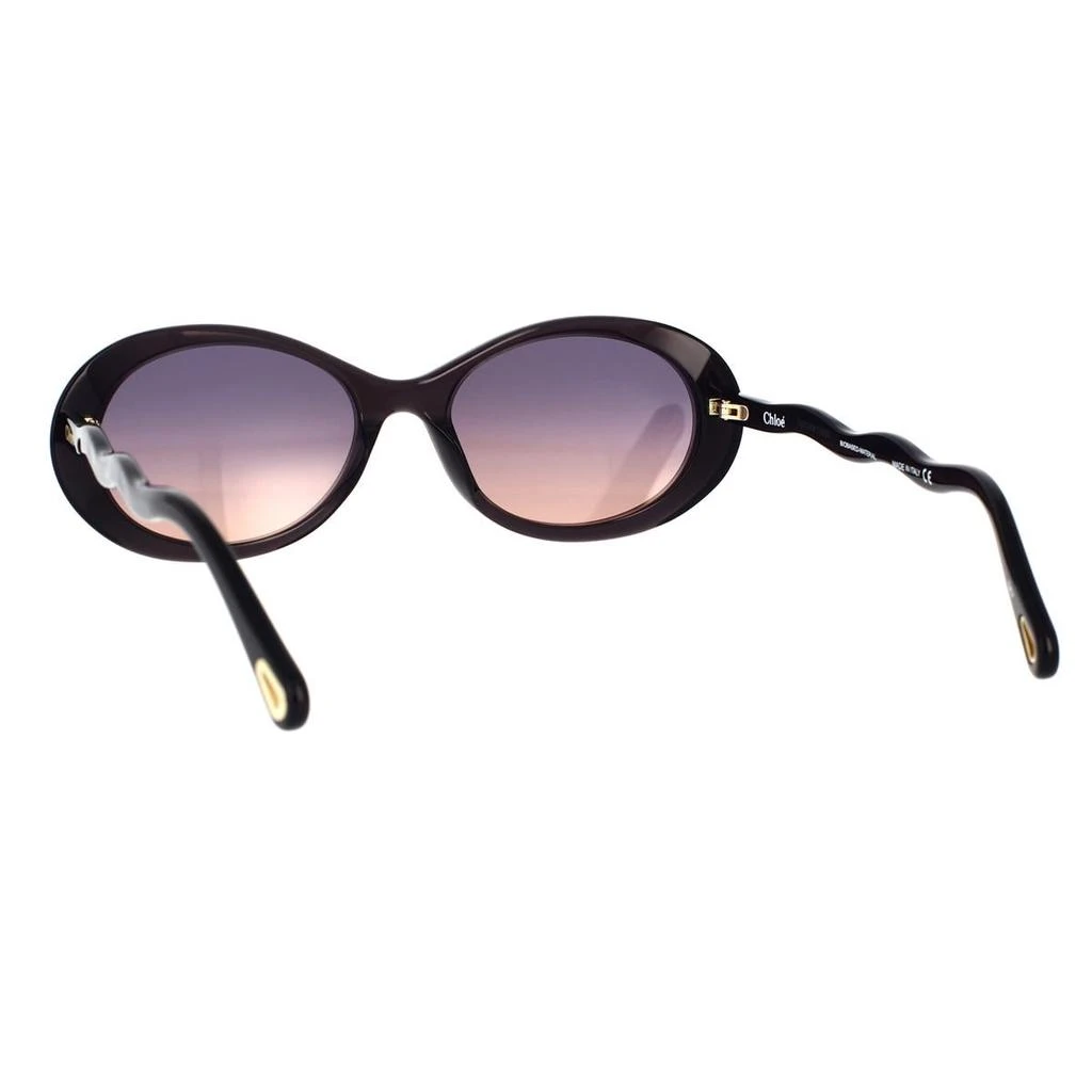 商品Chloé|CHLOÉ Sunglasses,价格¥1635,第4张图片详细描述