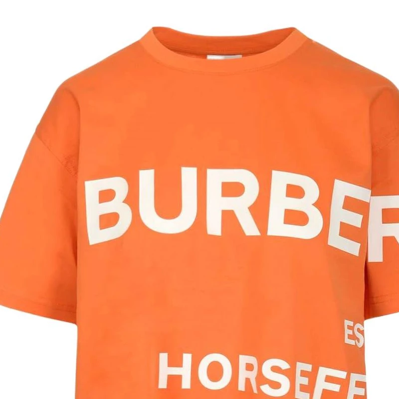 商品[国内直发] Burberry|博柏利  SS22 Logo印花拼色圆领短袖 T恤 女款 橙色,价格¥1719,第7张图片详细描述