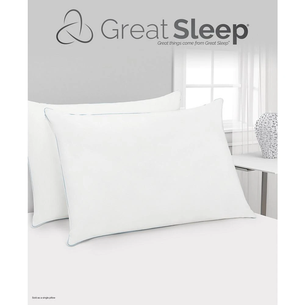 Twice Cool Premium Memory Foam Core  Standard/Queen Pillow 商品