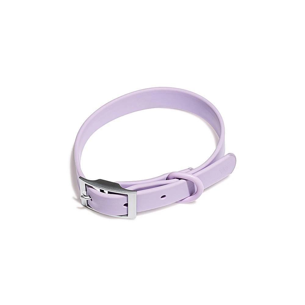 商品Wild One|Collar for Dogs,价格¥283,第1张图片