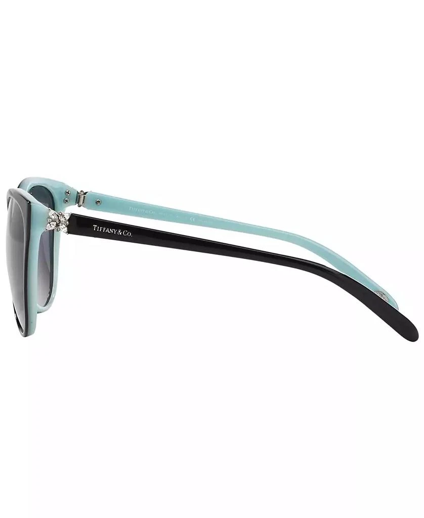 Polarized Sunglasses, TF4089BP 商品