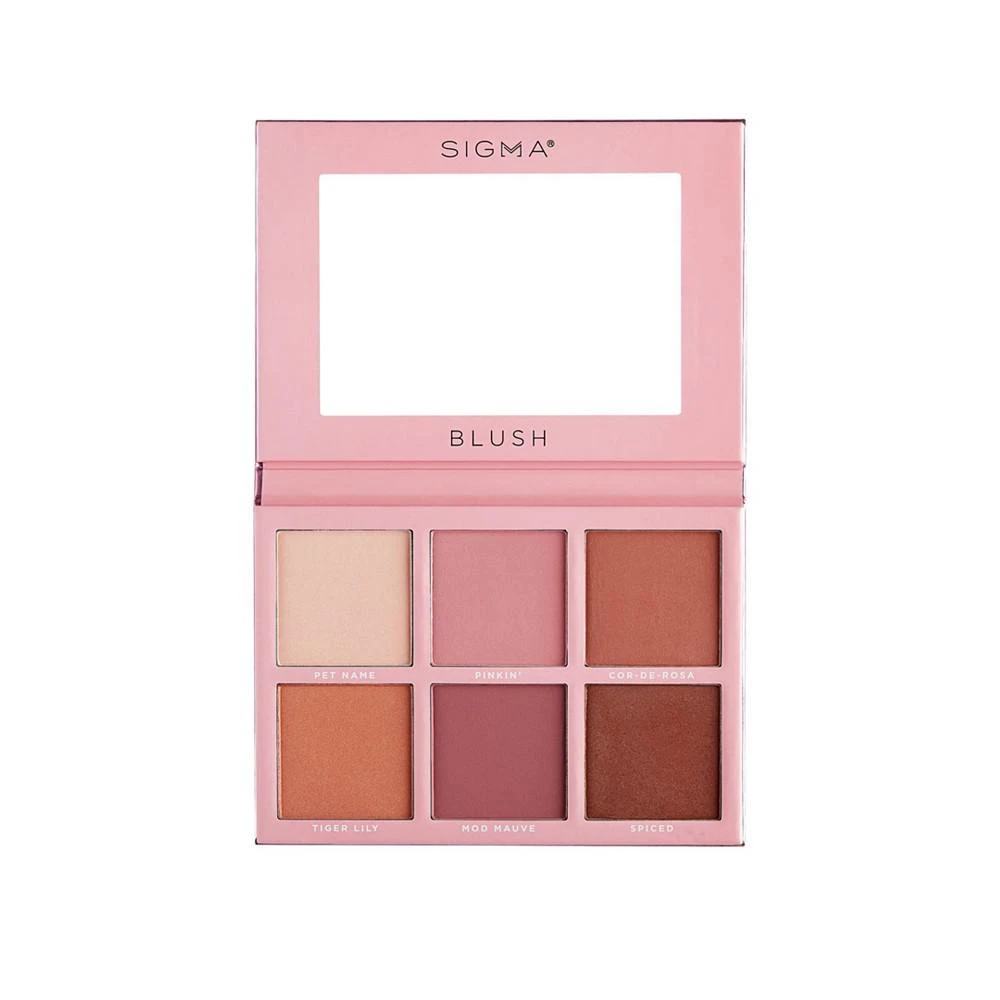 商品Sigma Beauty|Blush Cheek Palette,价格¥382,第1张图片