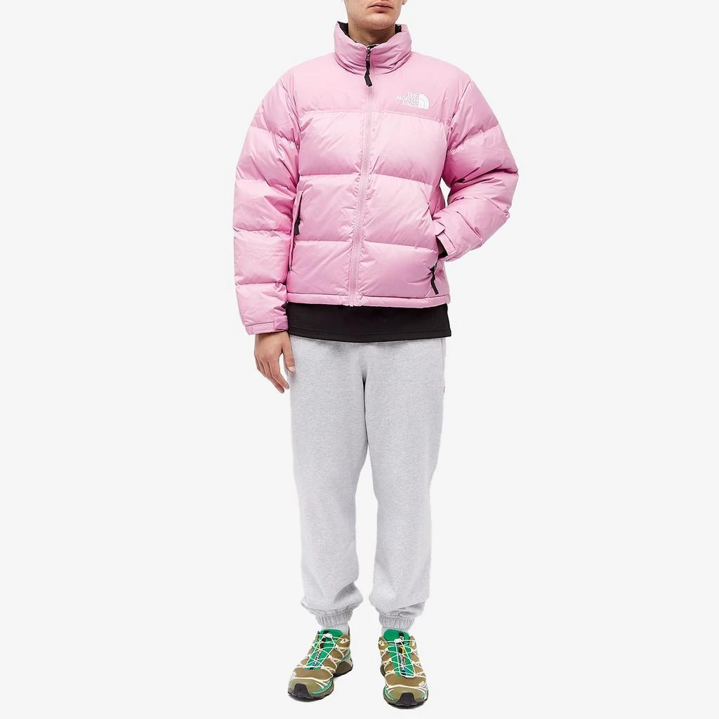 商品The North Face|The North Face 1996 Retro Nuptse Jacket,价格¥2910,第4张图片详细描述