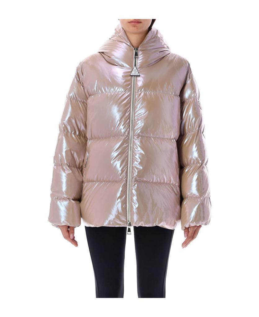 商品Moncler|Frasne Down Jacket,价格¥9348,第1张图片