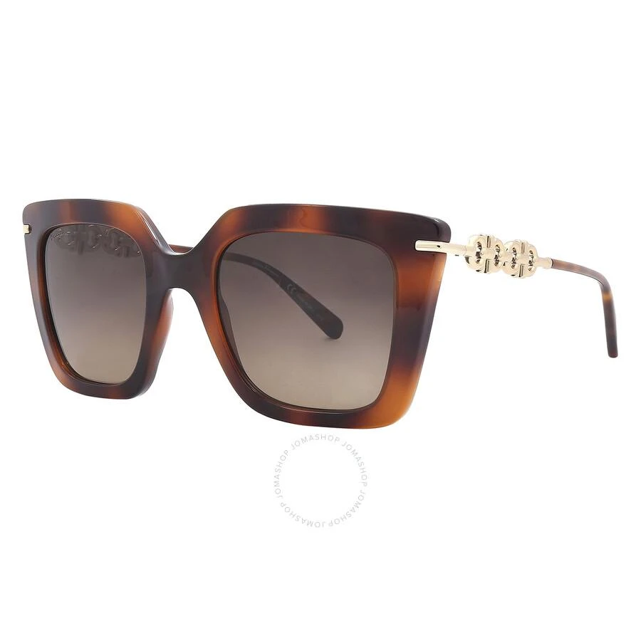 商品Salvatore Ferragamo|Salvatore Ferragamo Brown Gradient Butterfly Ladies Sunglasses SF1041S 238 51,价格¥420,第3张图片详细描述