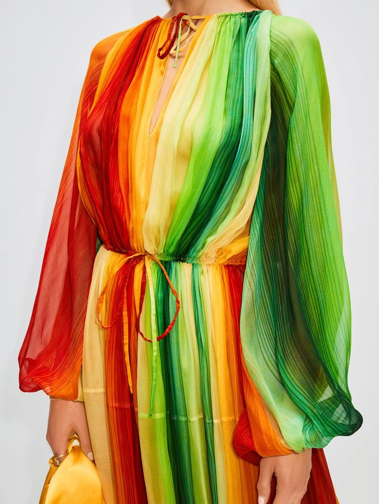 商品Oscar de la Renta|Degradé Chiffon Caftan,价格¥7644,第5张图片详细描述