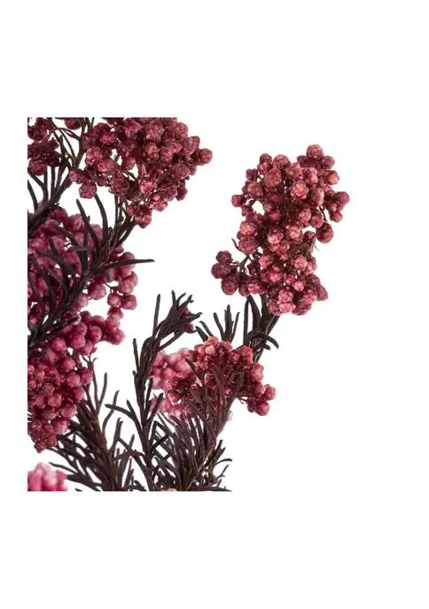 商品Vickerman|Wild Berry Rice Flower 4-5 Ounce,价格¥351,第3张图片详细描述