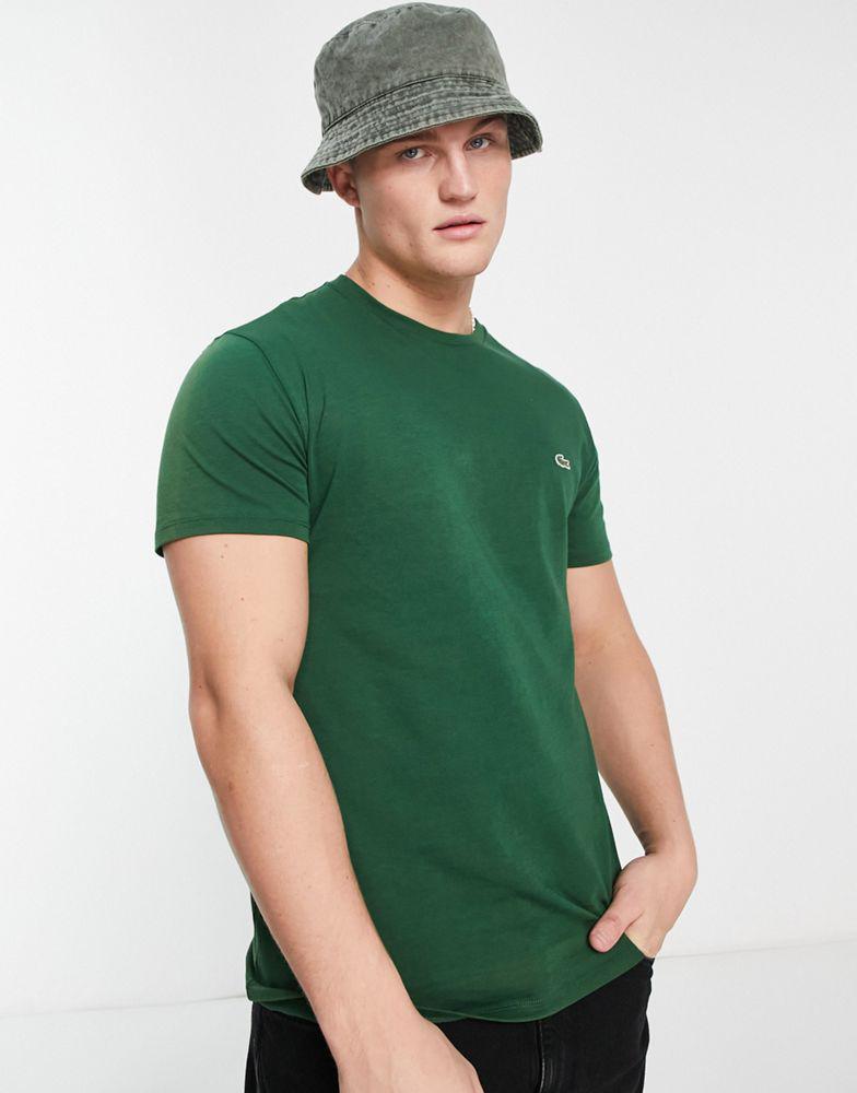 Lacoste logo t-shirt in green商品第3张图片规格展示