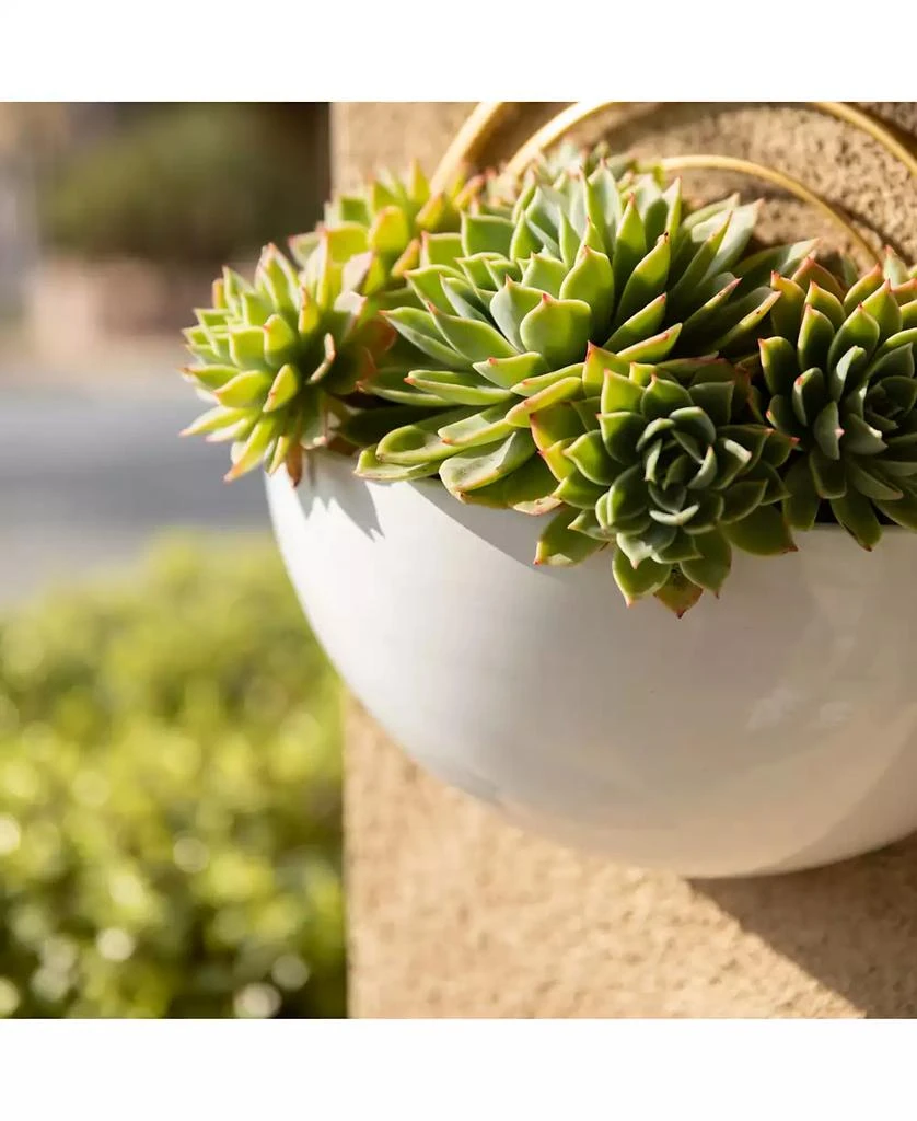 Crescent 3-Piece Metal Wall Planter Set 商品