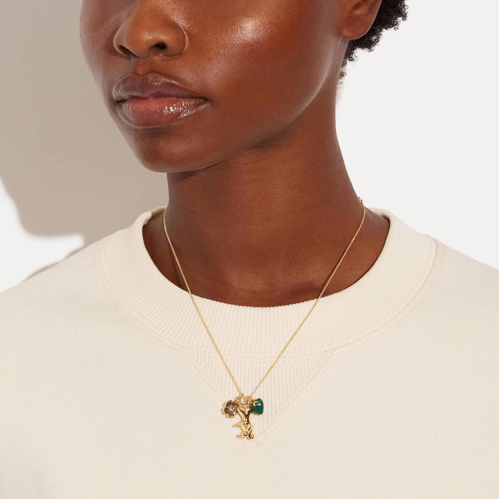 Coach Women's Rexy Heart Charm Pendant Necklace - Gold/Green商品第2张图片规格展示