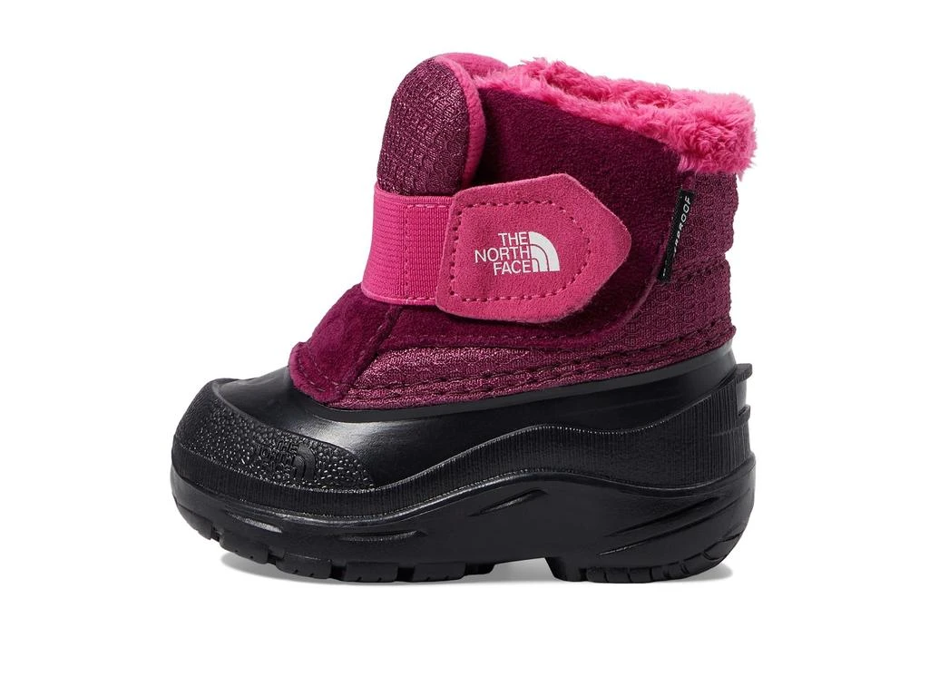 商品The North Face|Alpenglow II (Toddler),价格¥354,第4张图片详细描述