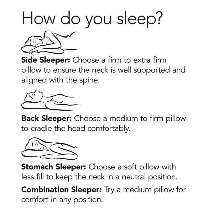 商品Bloomingdale's|My Signature Pillow, Medium Density, Euro - 100% Exclusive,价格¥113,第5张图片详细描述