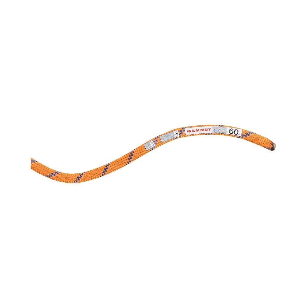 商品Mammut|Mammut 9.0 Alpine Sender Dry Rope,价格¥2229,第1张图片