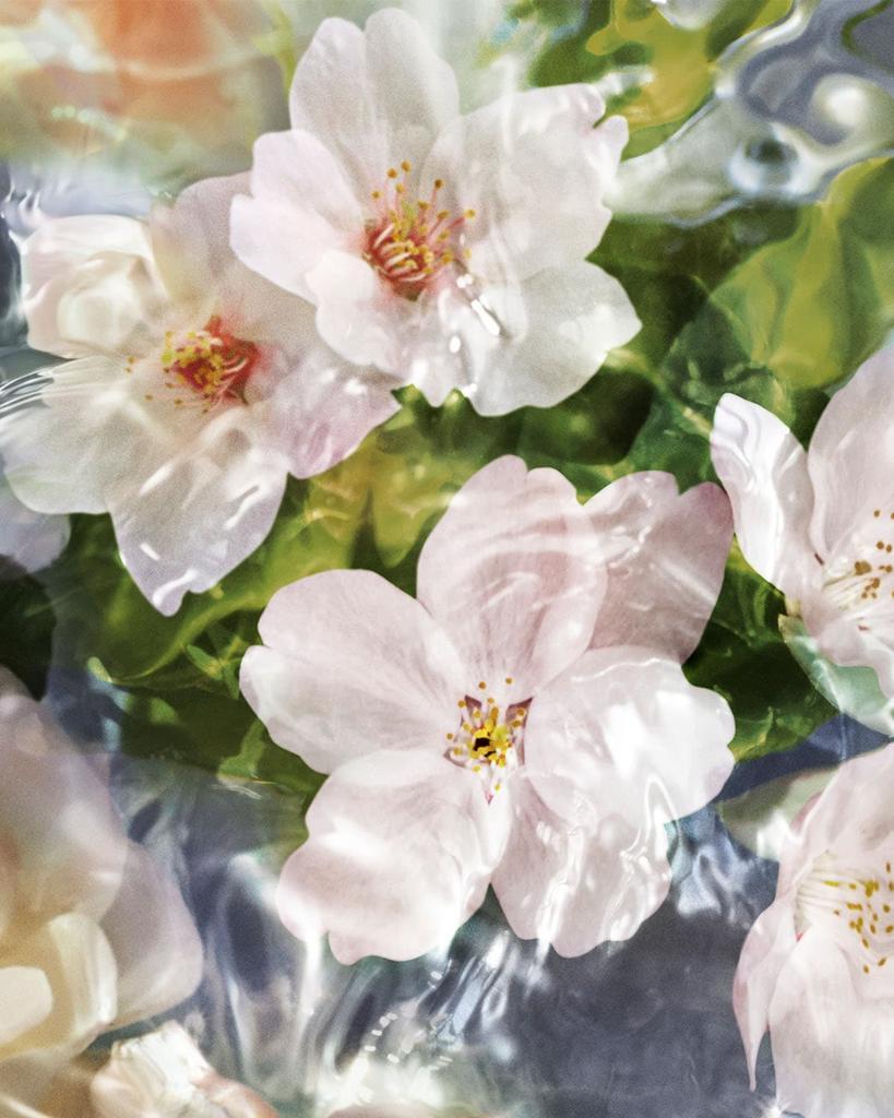 商品Guerlain|Aqua Allegoria Flora Cherrysia Cherry Blossom Eau de Toilette, 4.2 oz.,价格¥1057,第4张图片详细描述