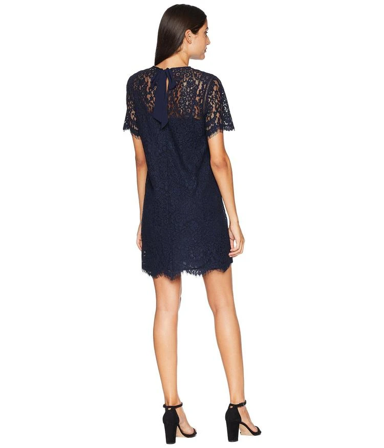 商品Juicy Couture|Hailey Lace Shift Dress,价格¥341,第3张图片详细描述