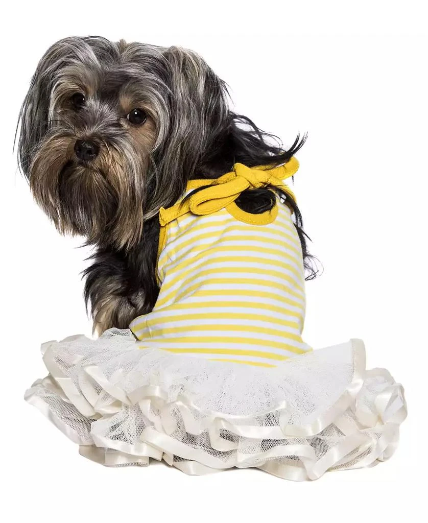 商品Macy's|Ballerina Dog Dress,价格¥240,第2张图片详细描述