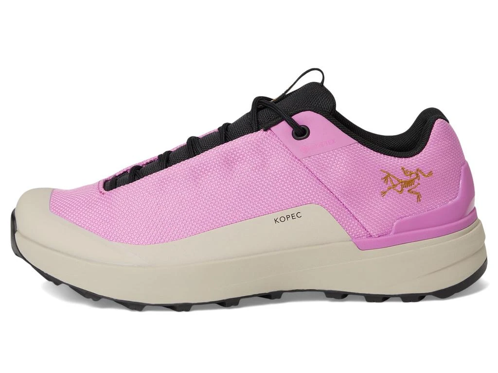 商品Arc'teryx|女码,价格¥1453,第4张图片详细描述