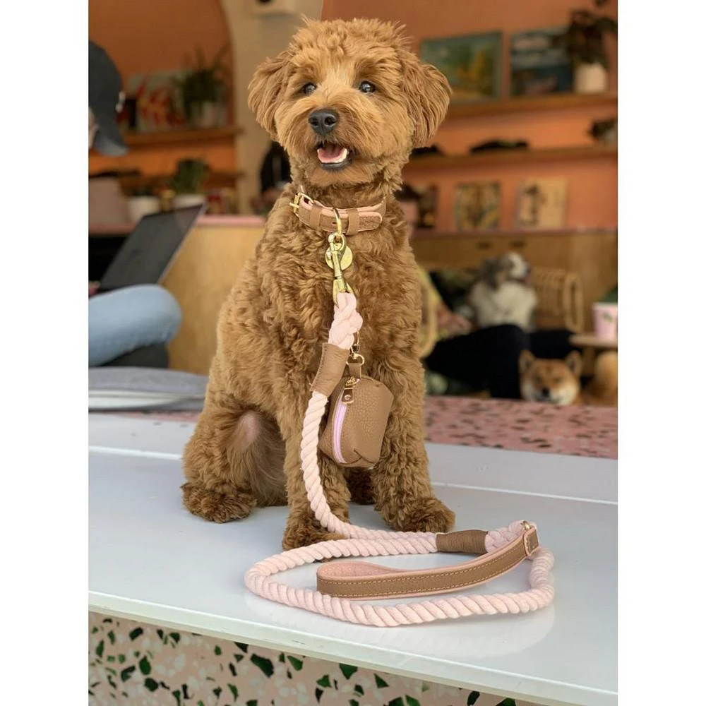 商品PoisePup|Pet Dog 5ft Long Leash - Bella Rose,价格¥285,第2张图片详细描述