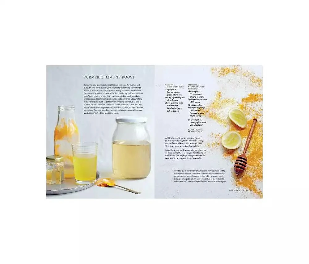 商品Barnes & Noble|Kombucha: Recipes for Naturally Fermented Tea Drinks to Make at Home by Louise Avery,价格¥127,第2张图片详细描述