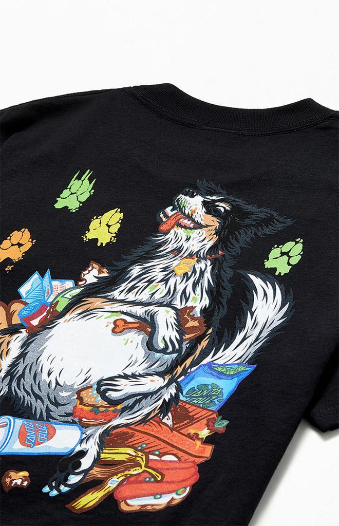 商品Santa Cruz|Braun Munchies T-Shirt,价格¥201,第6张图片详细描述
