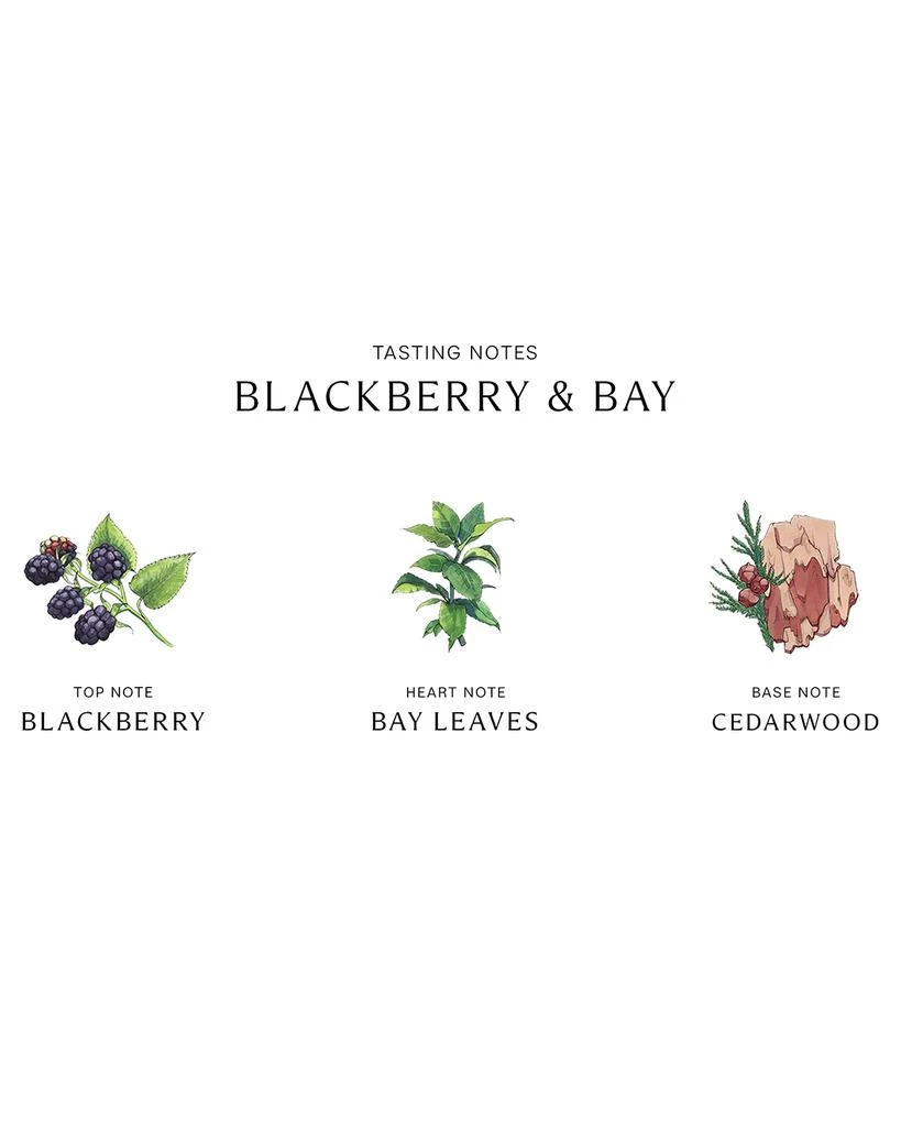 商品Jo Malone London|Blackberry & Bay Body & Hand Wash, 250 mL,价格¥402,第3张图片详细描述