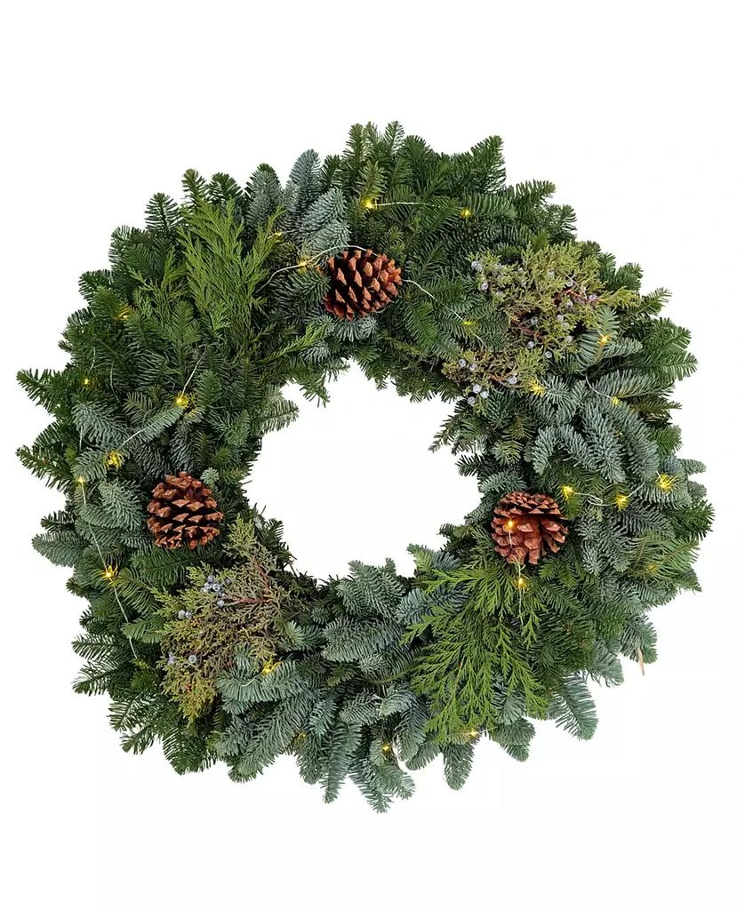商品International Christmas Innovation|Traditional Noble Fir Fresh Wreath with Warm Lights, 28",价格¥464,第1张图片