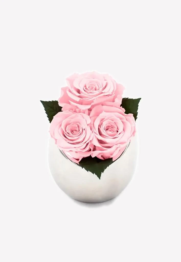 商品OnlyRoses|Infinite Rose Fortune,价格¥1645,第1张图片