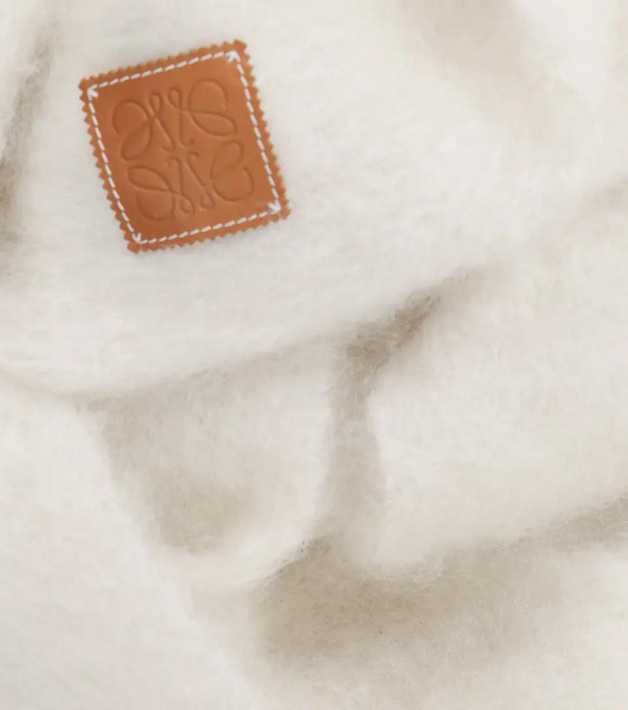商品Loewe|马海毛与羊毛混纺围巾,价格¥2386,第7张图片详细描述