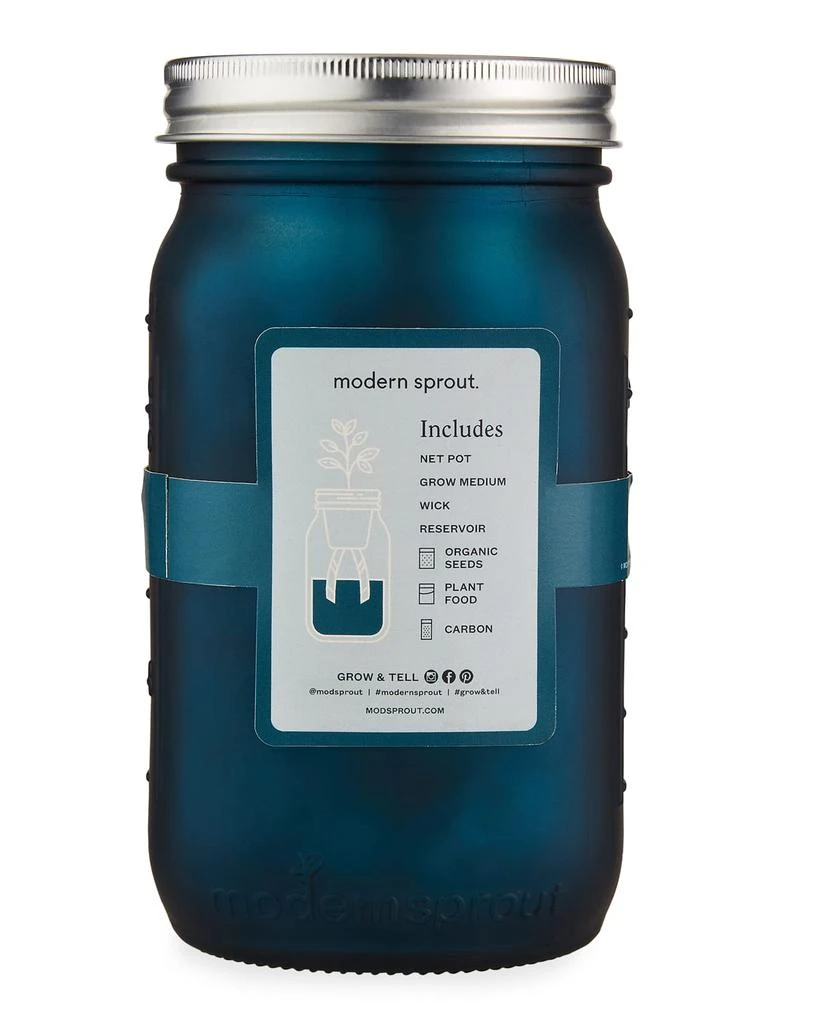 商品Modern Sprout|Garden Jar - Basil,价格¥94,第4张图片详细描述