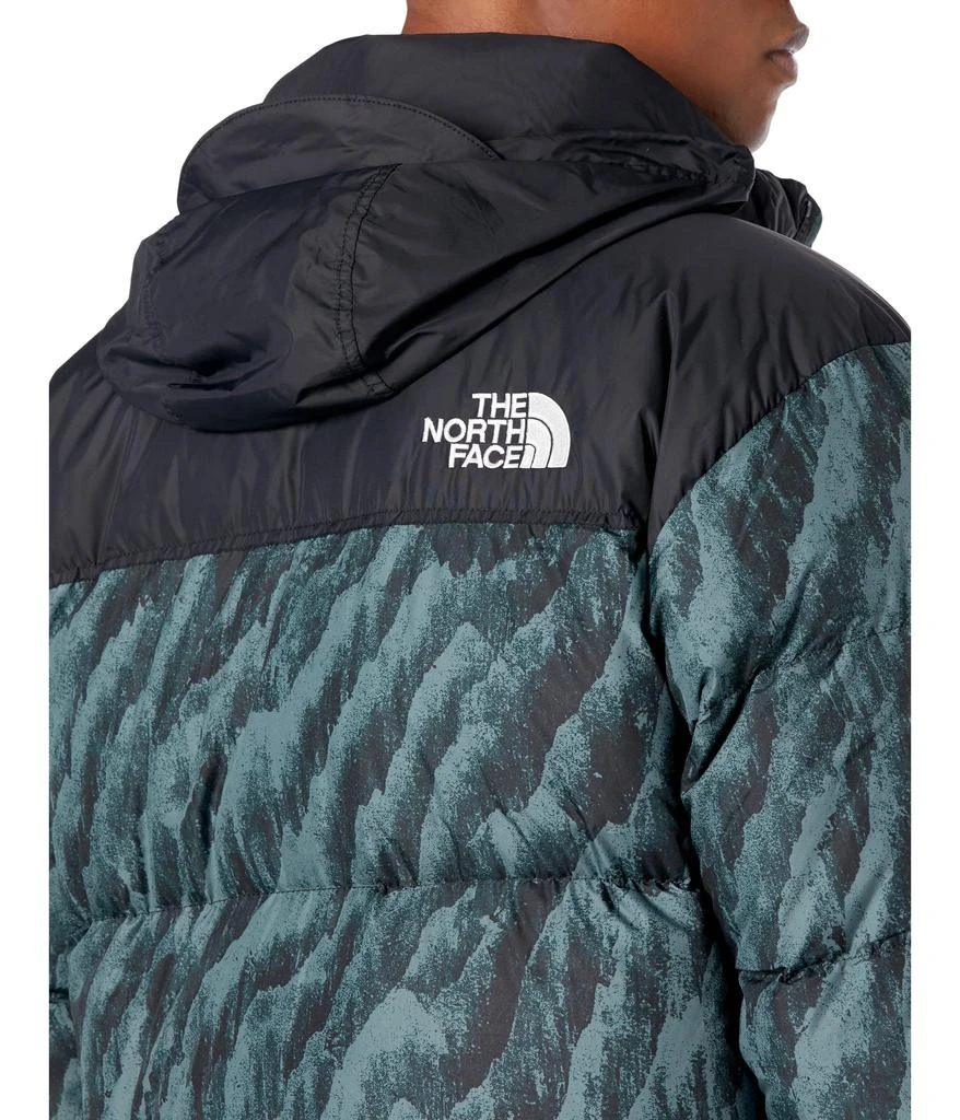 商品The North Face|男式 北面 1996 复古 Nuptse 印花 羽绒服,价格¥2153,第3张图片详细描述