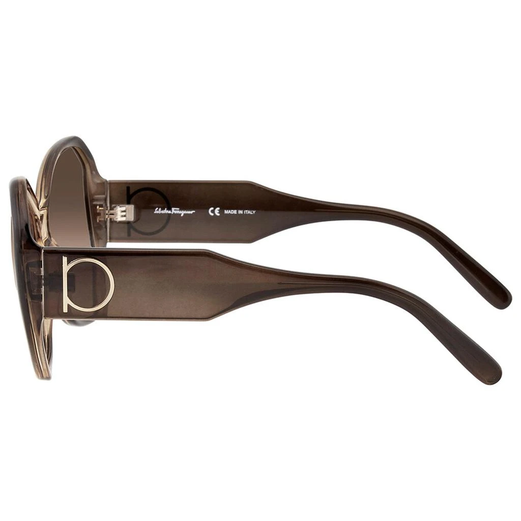 商品Salvatore Ferragamo|Salvatore Ferragamo Women's Sunglasses - Brown Gradient Lens Butterfly | SF942S 326,价格¥543,第3张图片详细描述