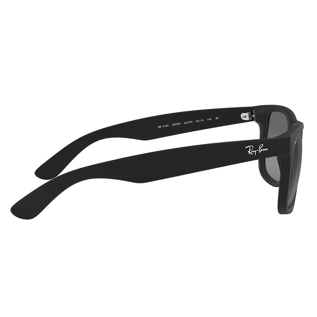 RAY-BAN Sunglasses 商品