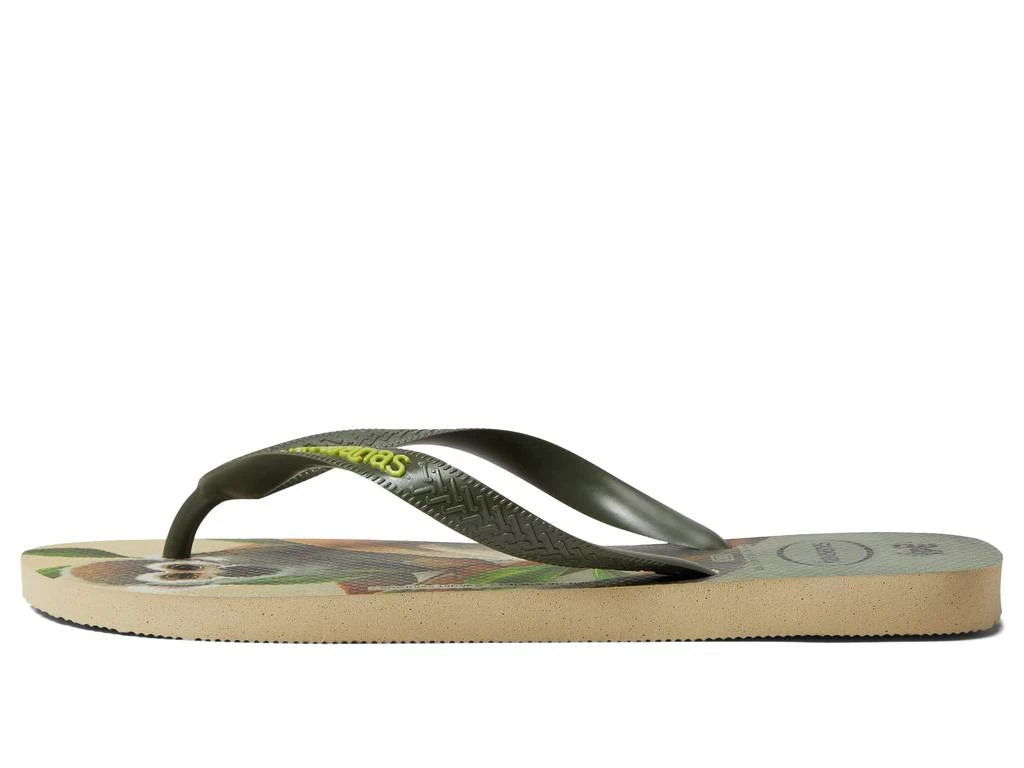 商品Havaianas|Ipe Flip Flop Sandal,价格¥223,第4张图片详细描述