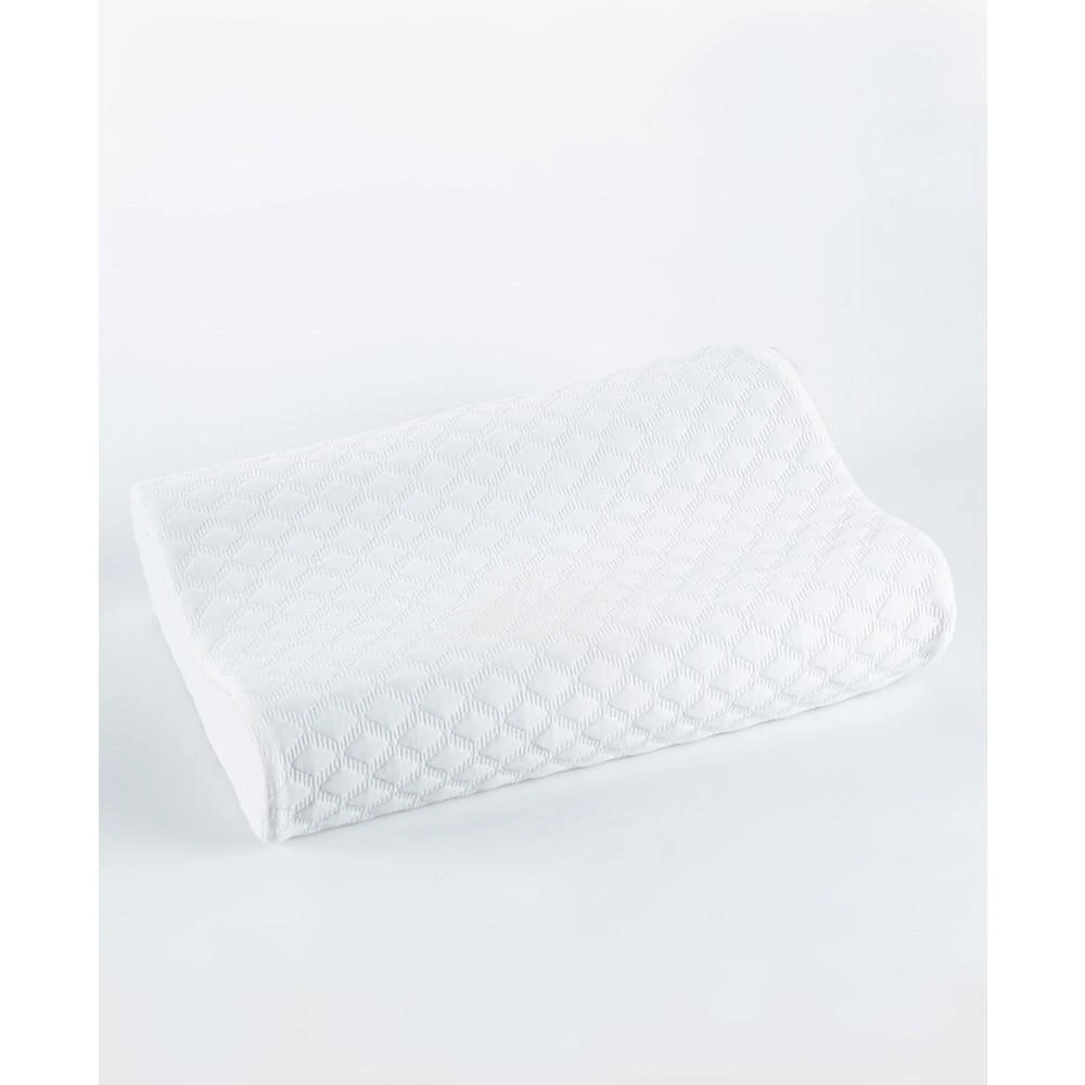 商品Therapedic Premier|Contour Comfort Traditional Memory Foam Bed Pillow,价格¥524,第1张图片