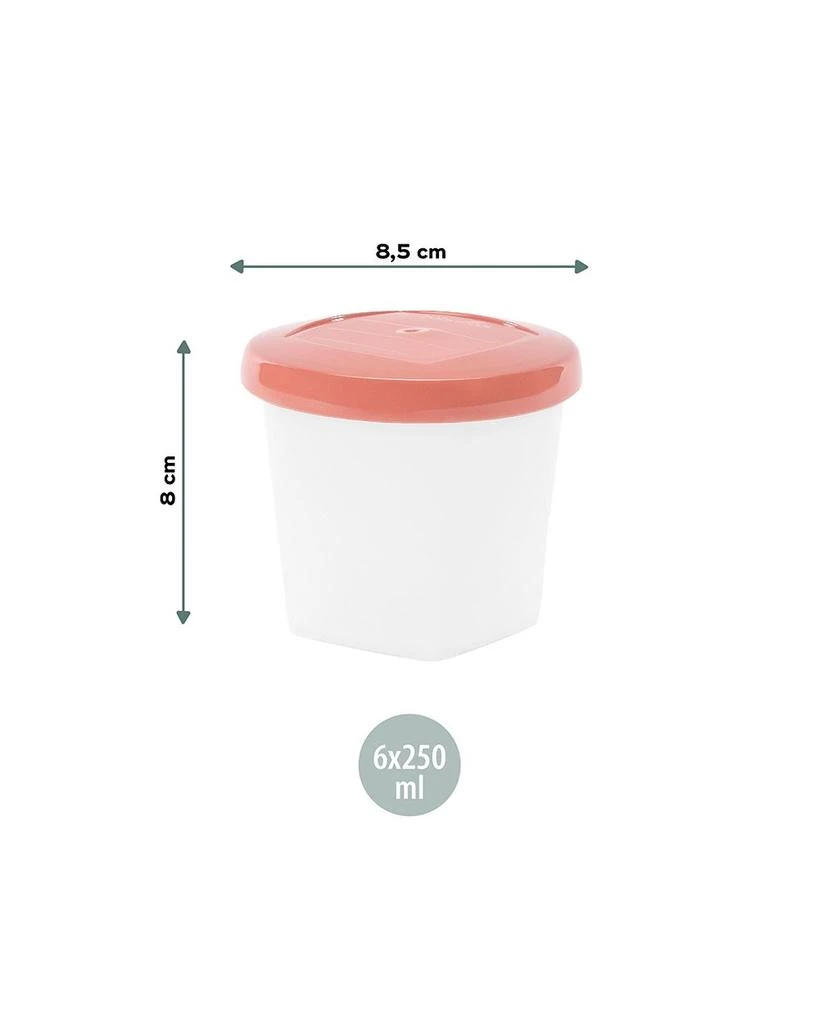 Babybowls Food Storage Containers, Set of 6 商品