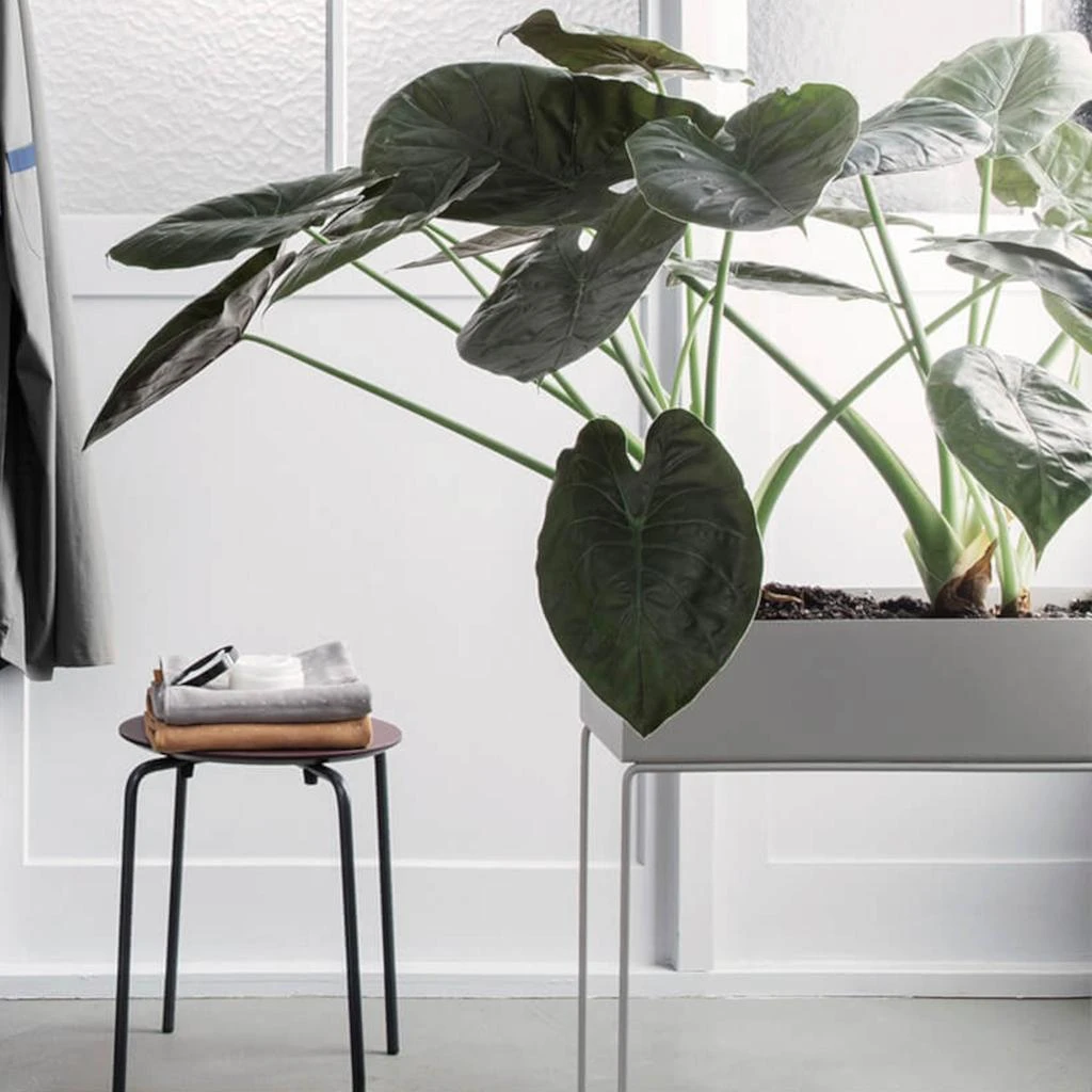 Plant Box and Side Table - Rose 商品