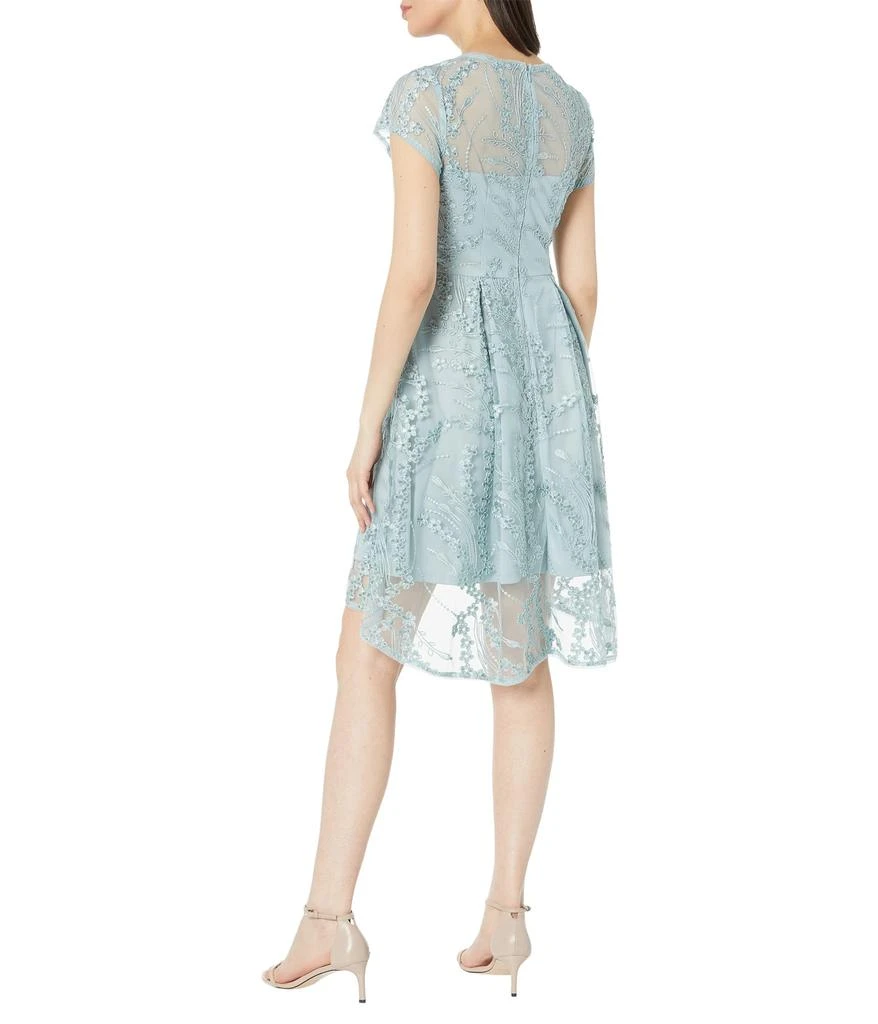 商品Adrianna Papell|Sequin Embroidered Cocktail Dress,价格¥1347,第2张图片详细描述