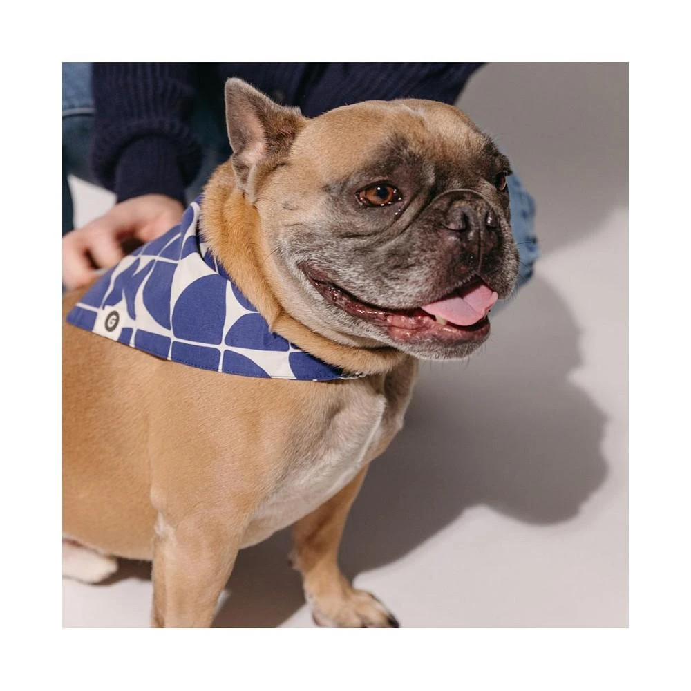 商品Good Trouble Pets|Combed Cotton Bandana,价格¥127,第2张图片详细描述
