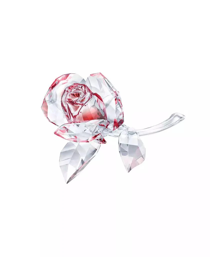 商品Swarovski|Blossoming Rose,价格¥1767,第1张图片