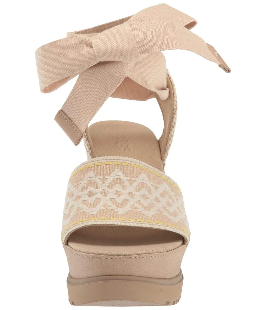 Abbot Ankle Wrap 商品
