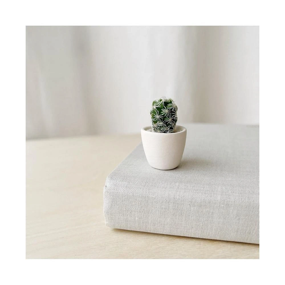 商品Tierra Sol Studio|Lino Mini Cactus Kit,价格¥165,第3张图片详细描述