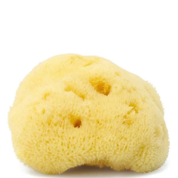 ARgENTUM la lune sur l'eau Silk Sea Face Sponge 商品