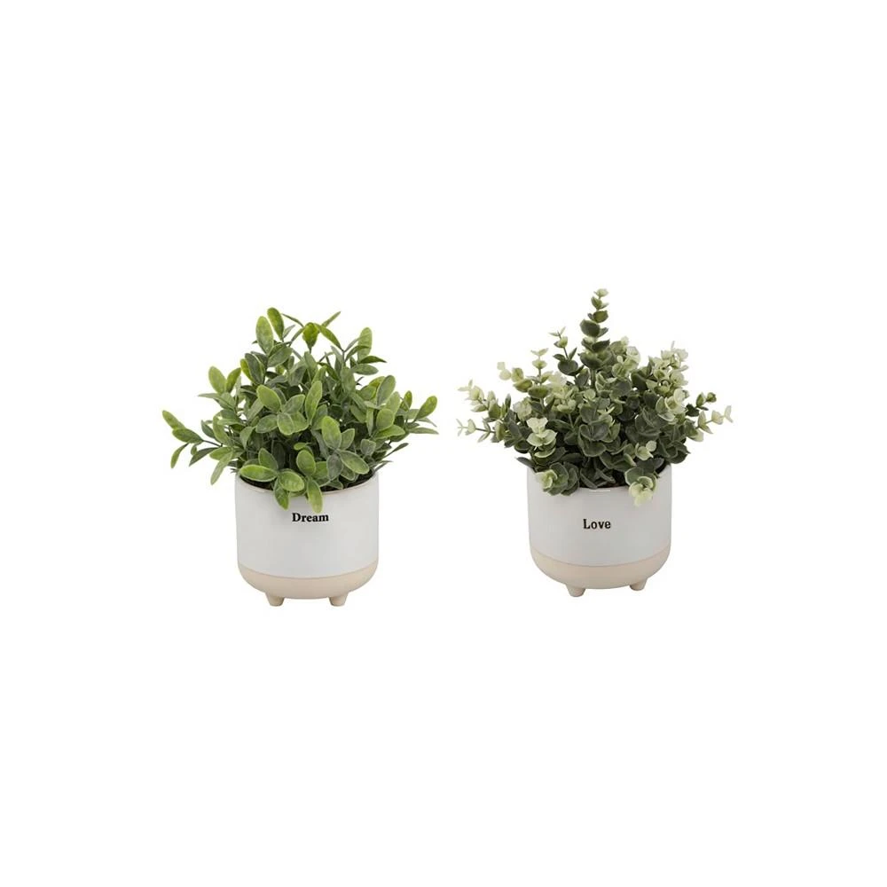 商品Flora Bunda|9.5" Artificial Eucalyptus in 4.75" Love Text and Artificial Tea Leaf in Dream Text Ceramic Footed Pot, Set of 2,价格¥366,第1张图片