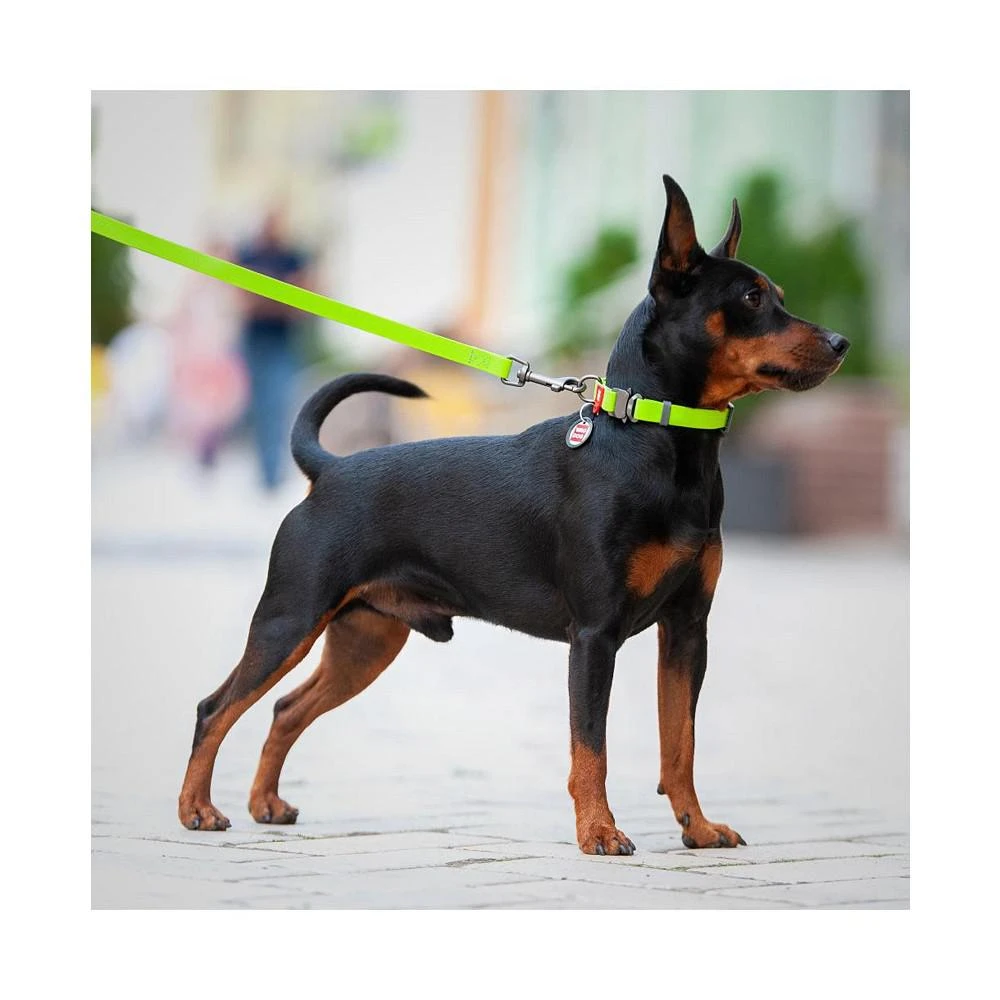 商品Waudog|Waterproof dog collar with QR passport, metal fastex,价格¥164,第2张图片详细描述
