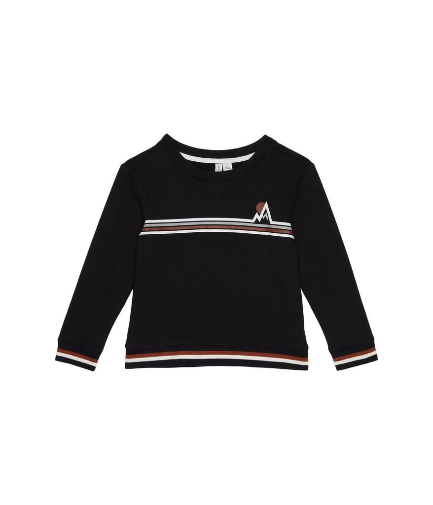 商品Janie and Jack|Graphic Pullover Sweatshirt (Toddler/Little Kids/Big Kids),价格¥264,第1张图片