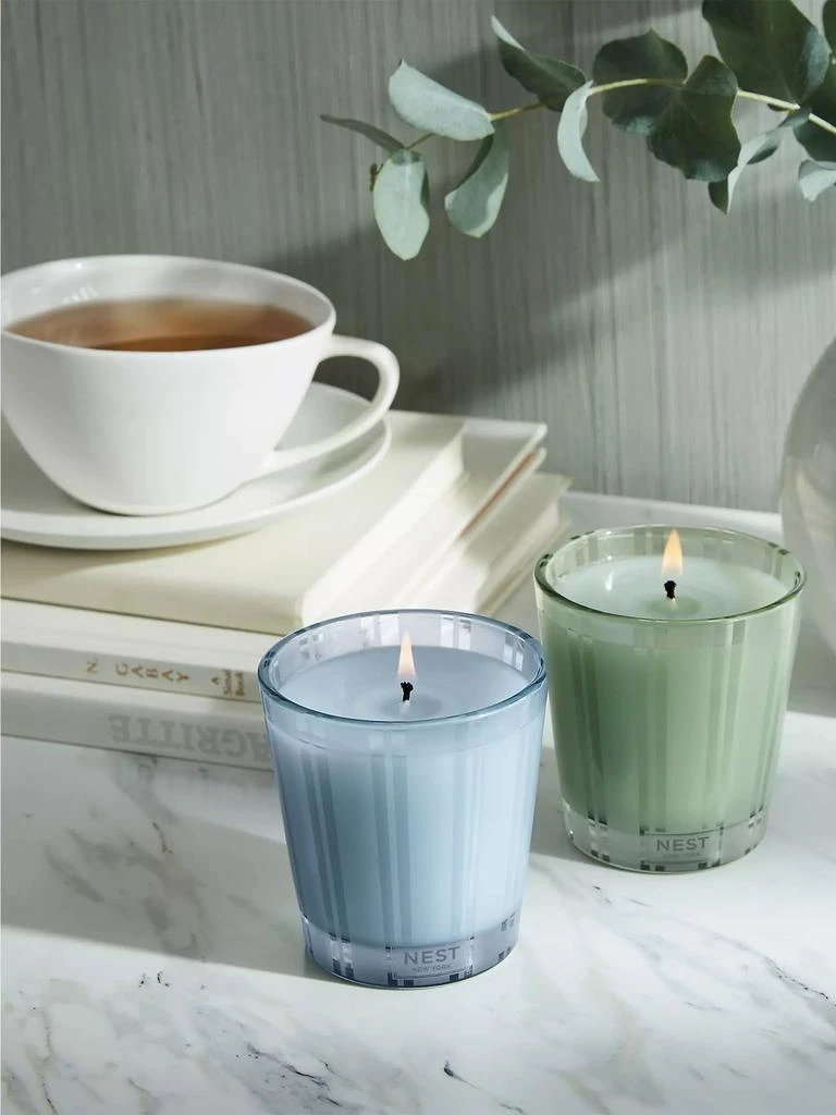 商品NEST New York|Wellness Petite Candle Duo,价格¥405,第4张图片详细描述