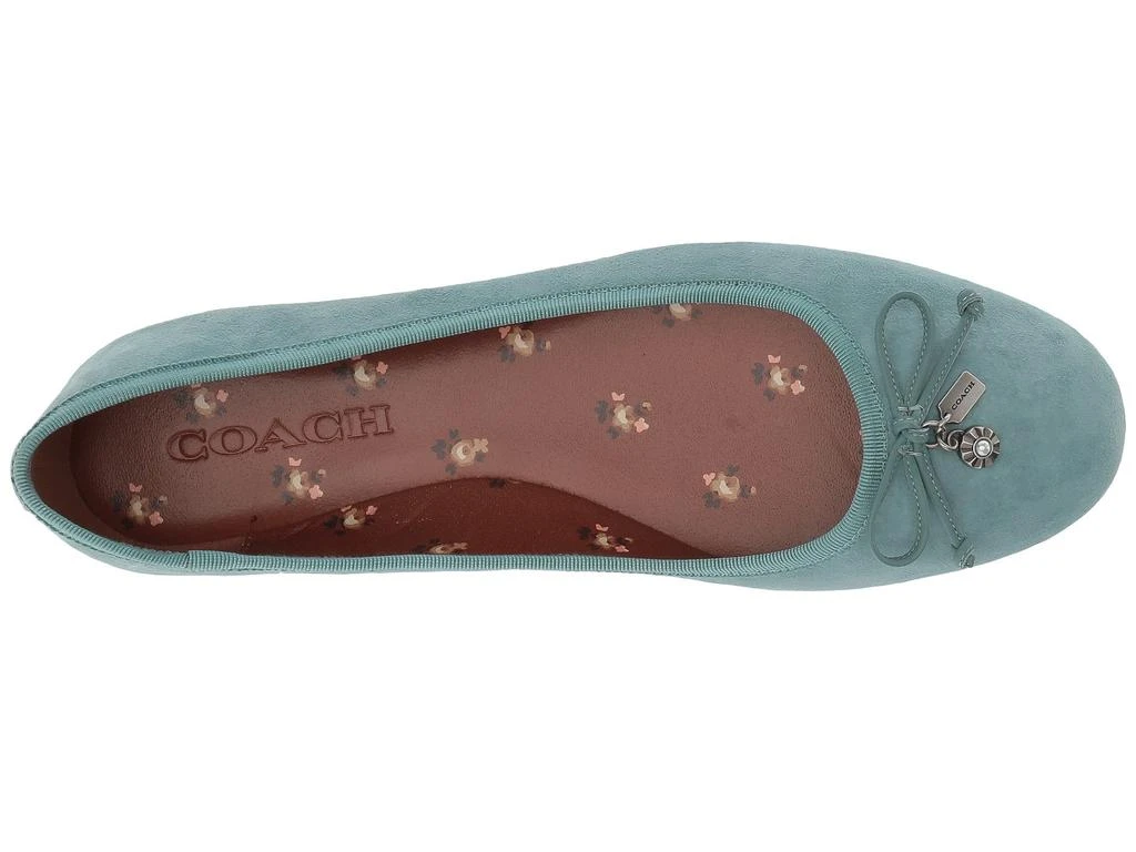 商品Coach|Lola Ballet 平底芭蕾鞋,价格¥326,第2张图片详细描述
