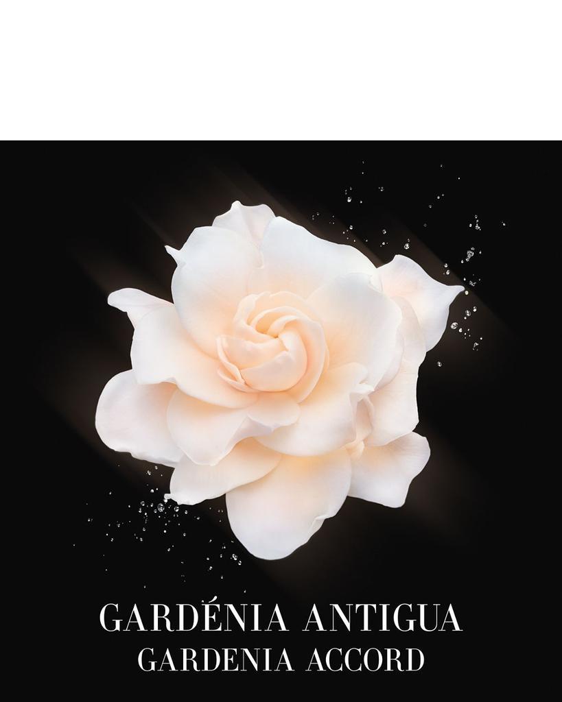 商品Armani|Gardénia Antigua,价格¥1318,第7张图片详细描述